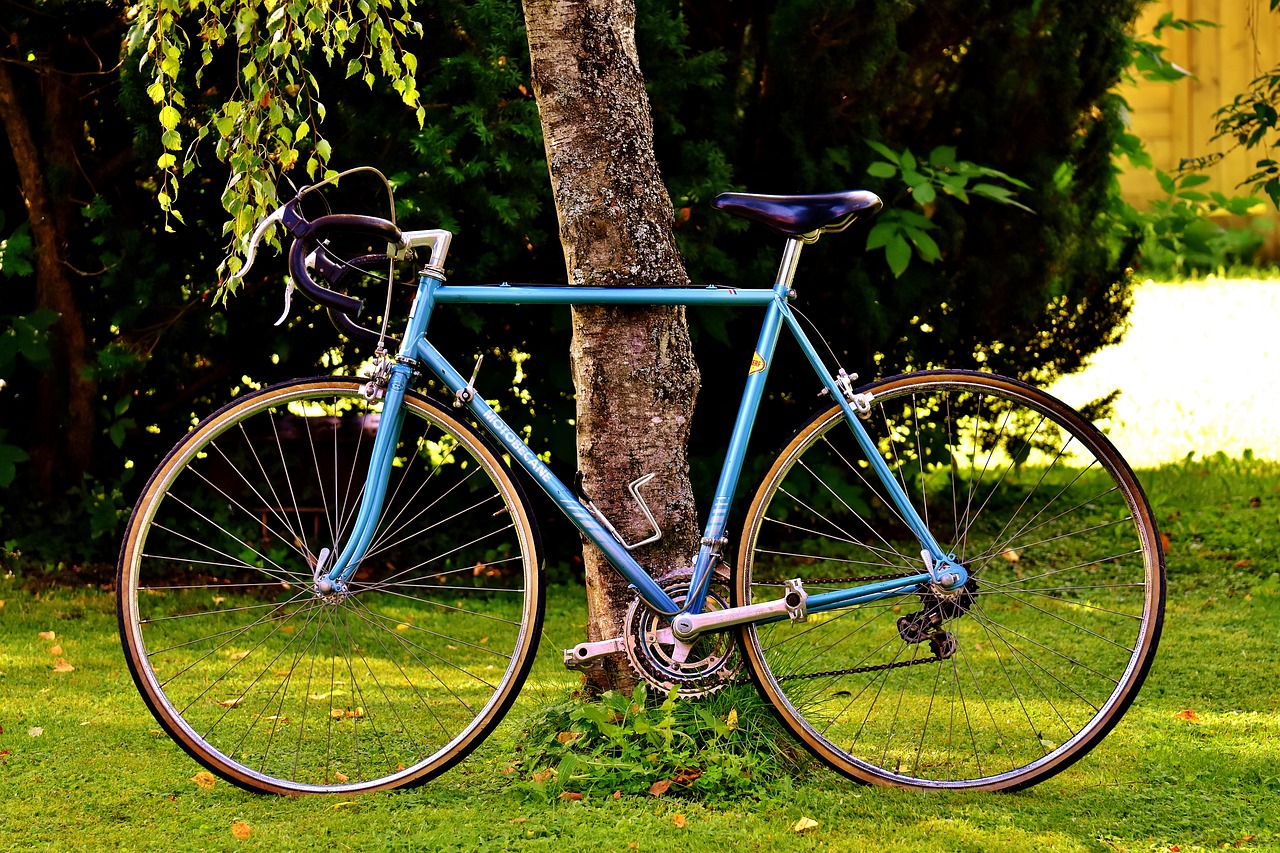 Rower – ekologiczny środek transportu