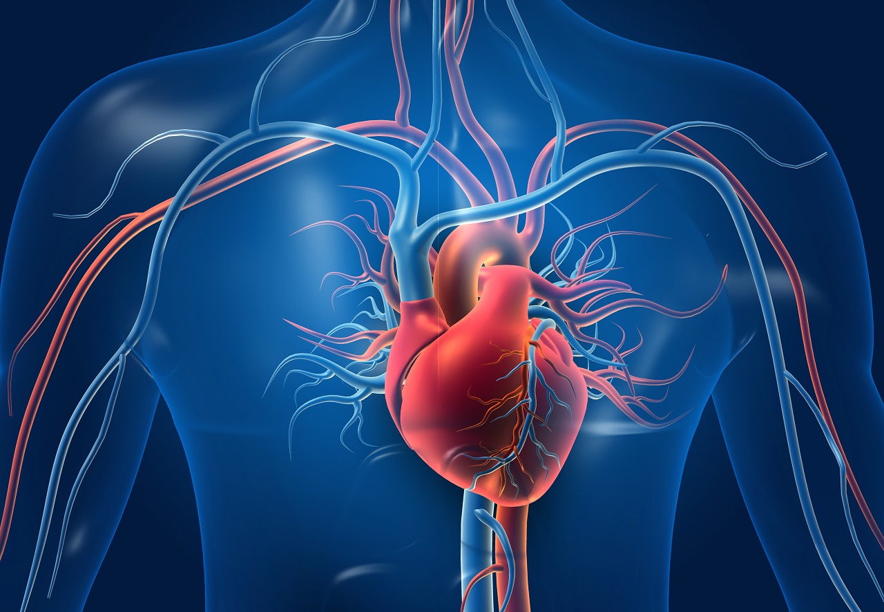 Kardiolog – postaw na profilaktykę chorób serca