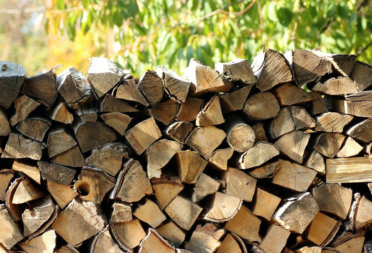 Drewno opałowe – czy jest opłacalne?
